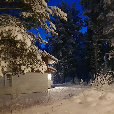Metsalintu Vuokatti