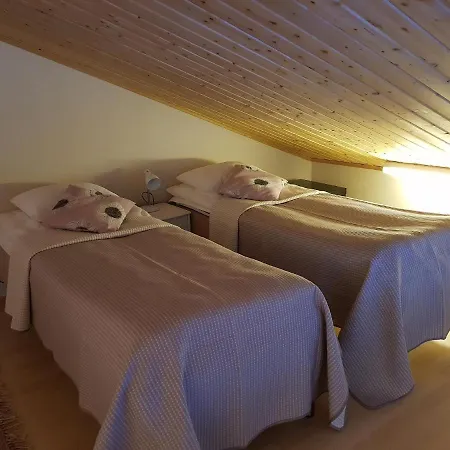 Metsalintu Vuokatti